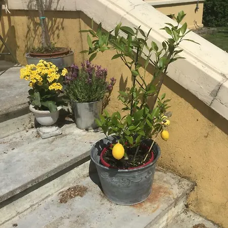 Exklusive Im Gutshaus Viezen Bernitt